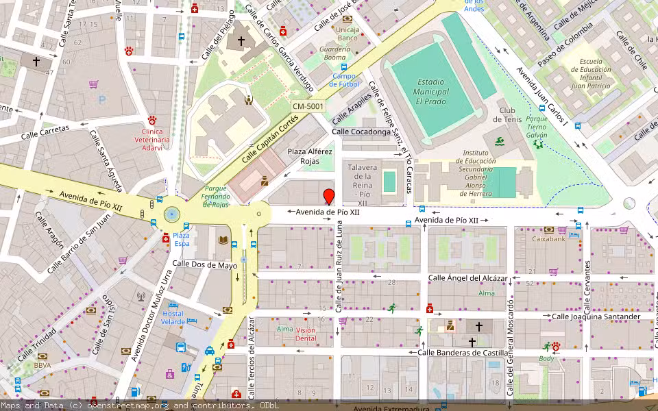Mapa de Subasta Inmueble (Vivienda) en Talavera De La Reina, Toledo
