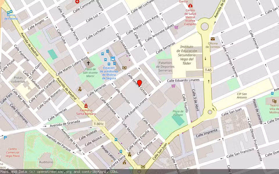 Mapa de Subasta Inmueble (Vivienda) en Molina De Segura, Murcia