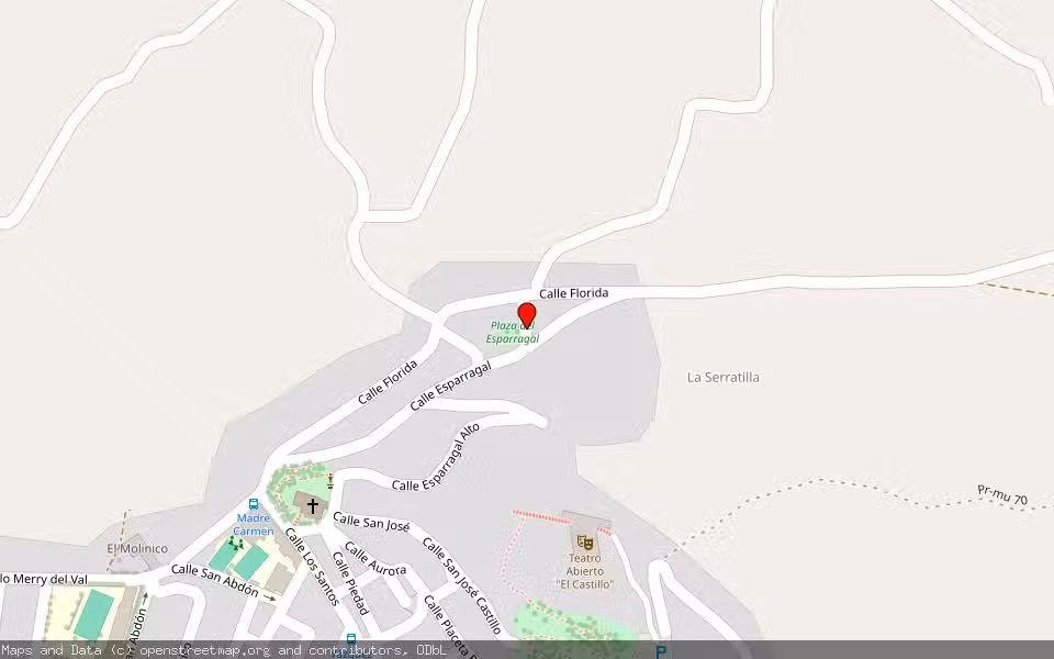 Mapa de Subasta Inmueble (Vivienda) en Calasparra, Murcia