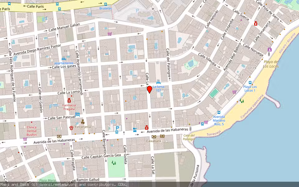 Mapa de Subasta Inmueble (Local comercial) en Torrevieja, Alicante/Alacant