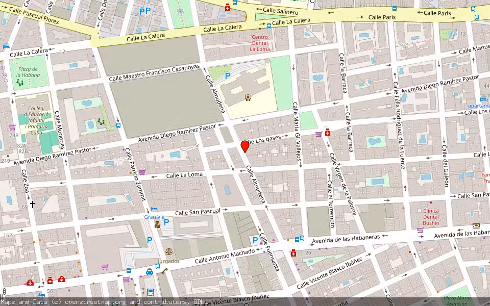 Mapa de Subasta Inmueble (Vivienda) en Torrevieja, Alicante/Alacant