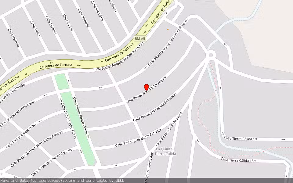 Mapa de Subasta Inmueble (Vivienda) en Molina De Segura, Murcia
