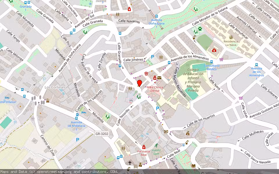 Mapa de Subasta Inmueble (Local comercial) en Huetor Vega, Granada