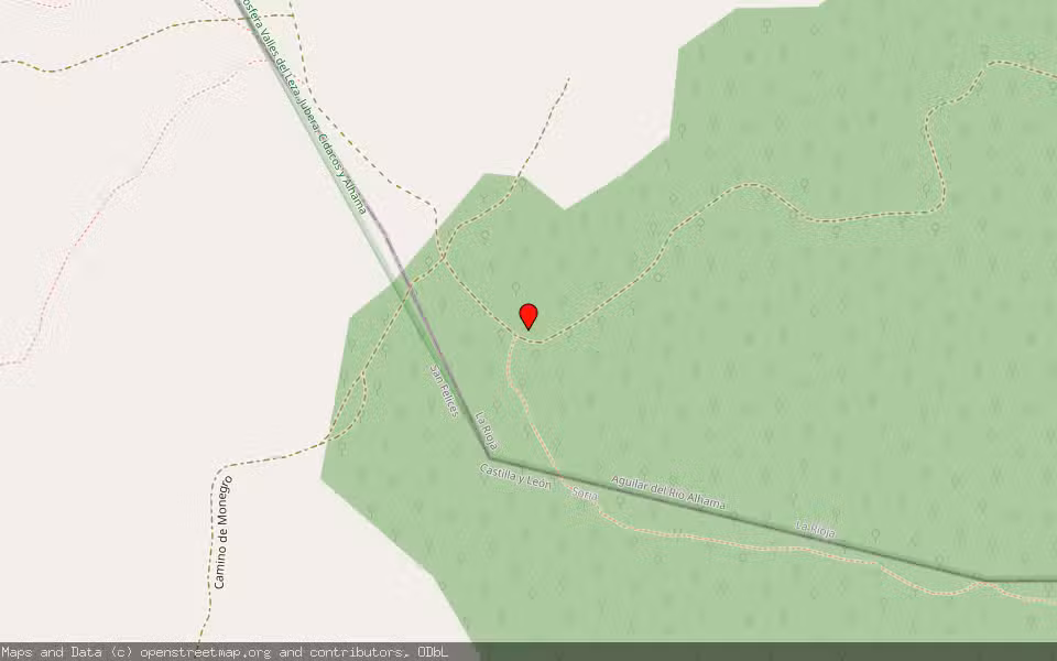 Mapa de Subasta Inmueble (Finca rústica) en San Felices, Soria