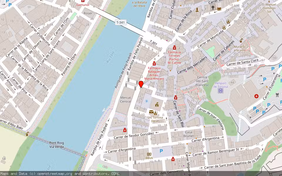 Mapa de Subasta Inmueble (Vivienda) en Tortosa, Tarragona