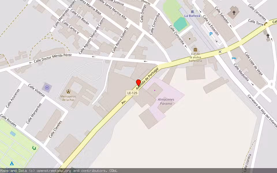 Mapa de Subasta Inmueble (Local comercial) en La Bañeza, León