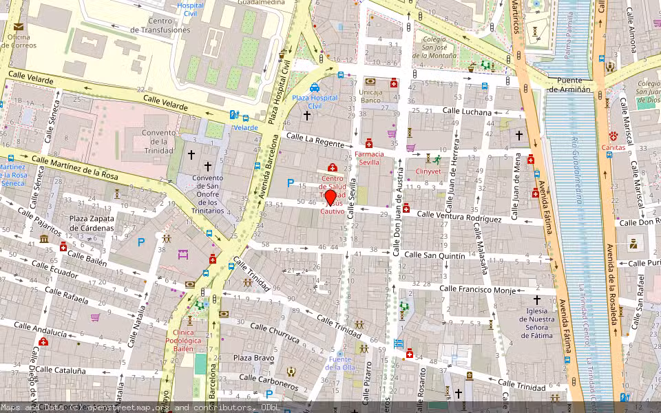Mapa de Subasta Inmueble (Vivienda) en Malaga, Málaga