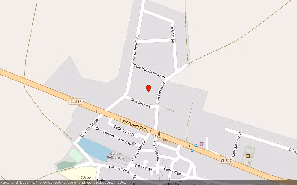 Mapa de Subasta Inmueble (Vivienda) en Doñinos De Salamanca, Salamanca