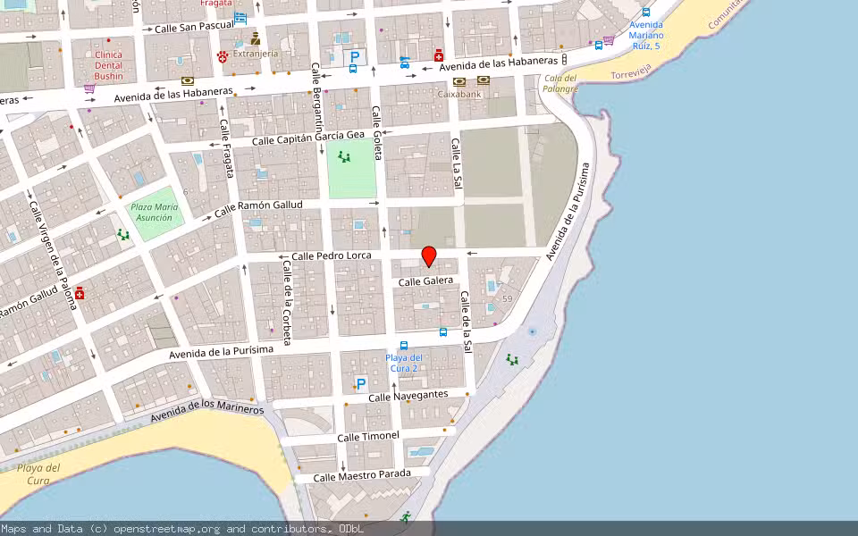 Mapa de Subasta Inmueble (Garaje) en Torrevieja, Alicante/Alacant