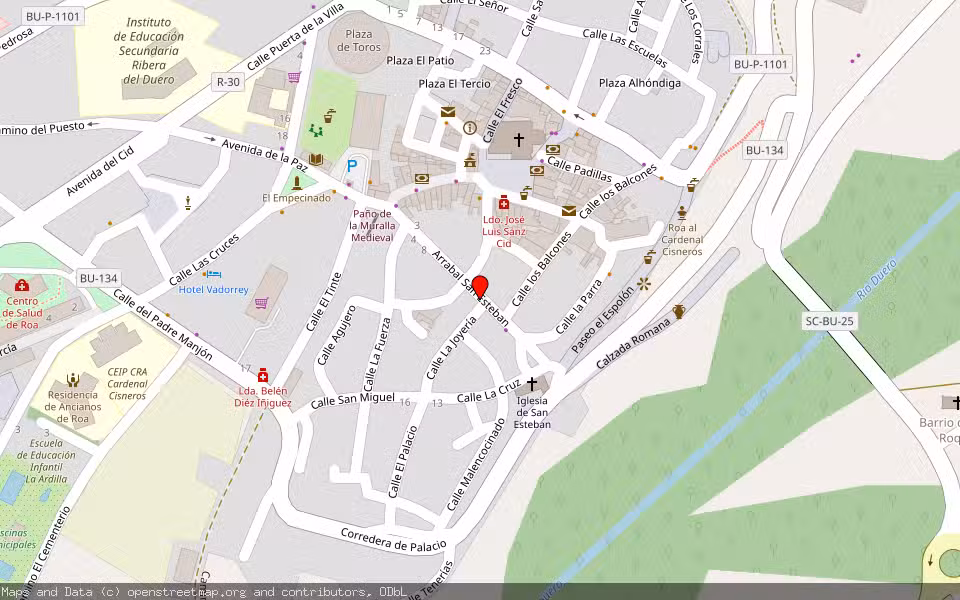 Mapa de Subasta Inmueble (Vivienda) en Roa, Burgos