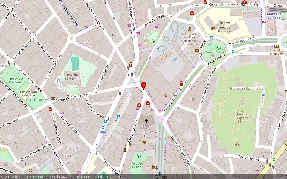 Mapa de Subasta Inmueble (Vivienda) en Manresa, Barcelona
