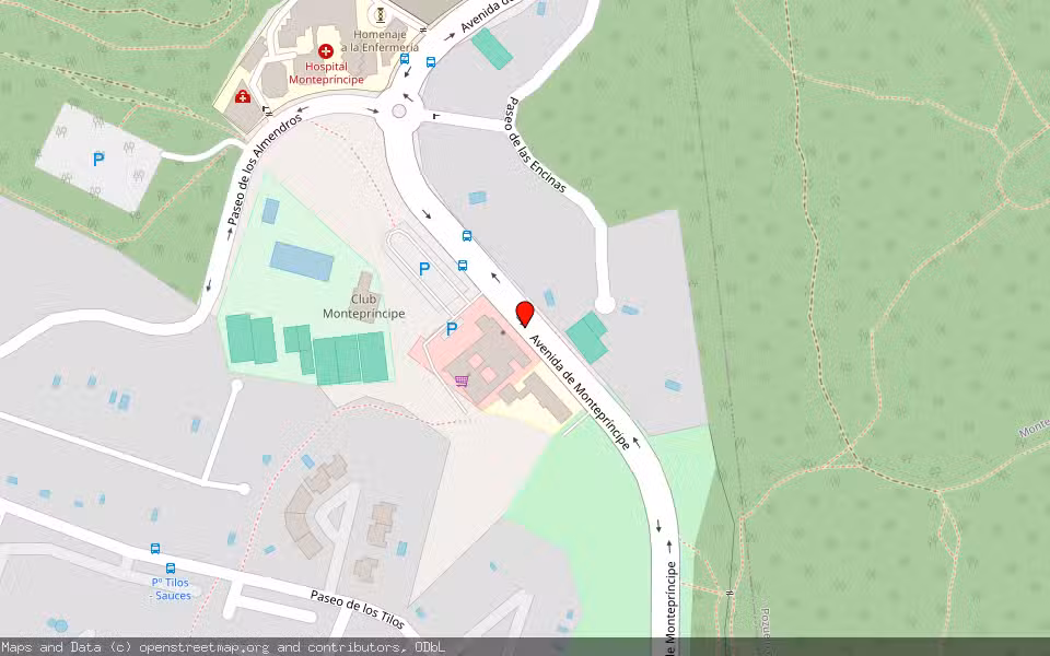 Mapa de Subasta Inmueble (Local comercial) en Boadilla Del Monte, Madrid