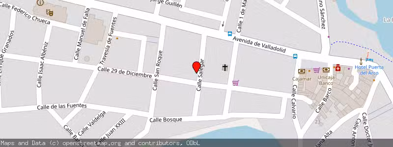 Mapa de Subasta de Inmueble (Vivienda) en Tudela De Duero, Valladolid 