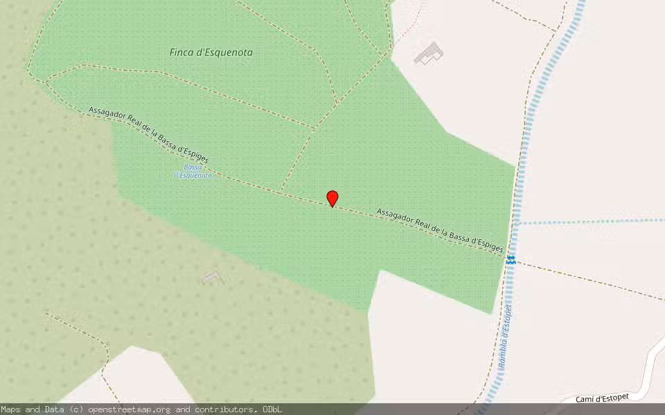 Mapa de Subasta Inmueble (Finca rústica) en Alcalà De Xivert, Castellón/Castelló