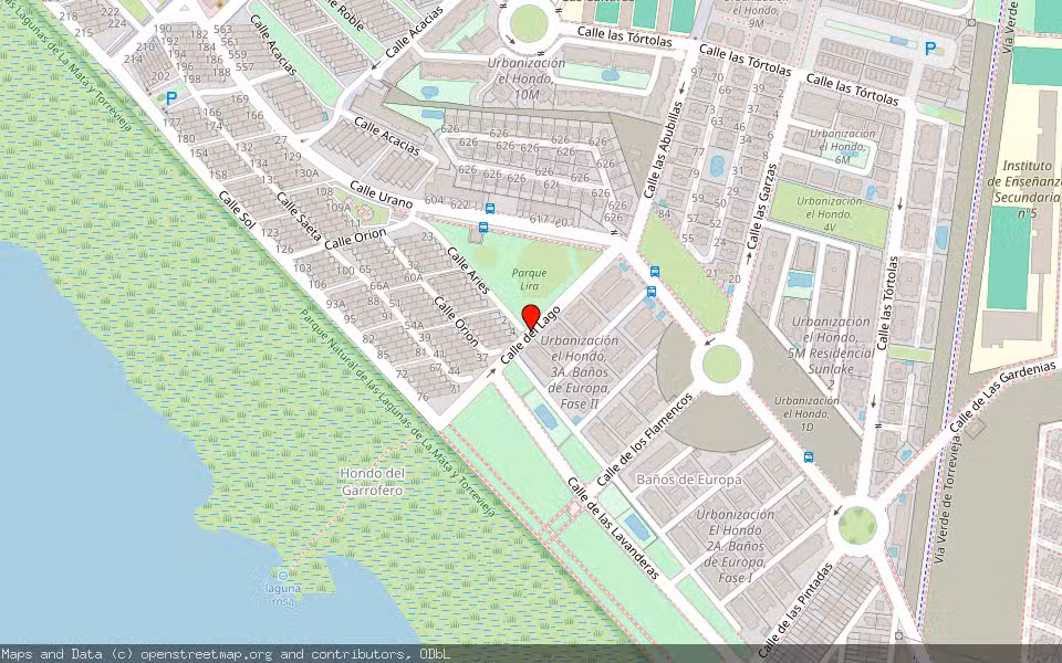 Mapa de Subasta Inmueble (Vivienda) en Torrevieja, Alicante/Alacant