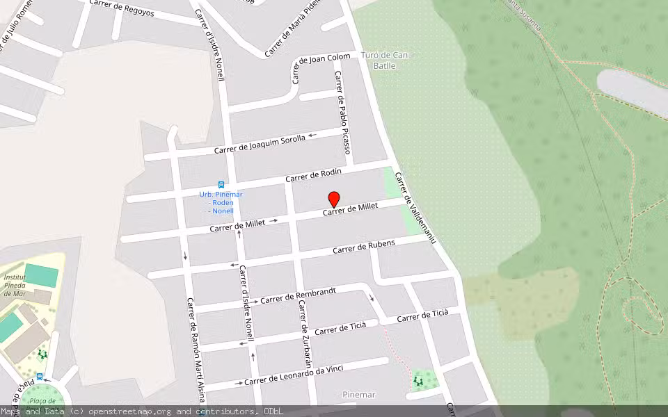 Mapa de Subasta Inmueble (Vivienda) en Pineda De Mar, Barcelona