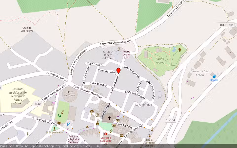 Mapa de Subasta Inmueble (Otros) en Roa, Burgos