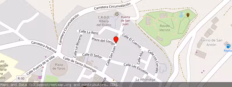 Mapa de Subasta de Inmueble (Otros) en Roa, Burgos 
