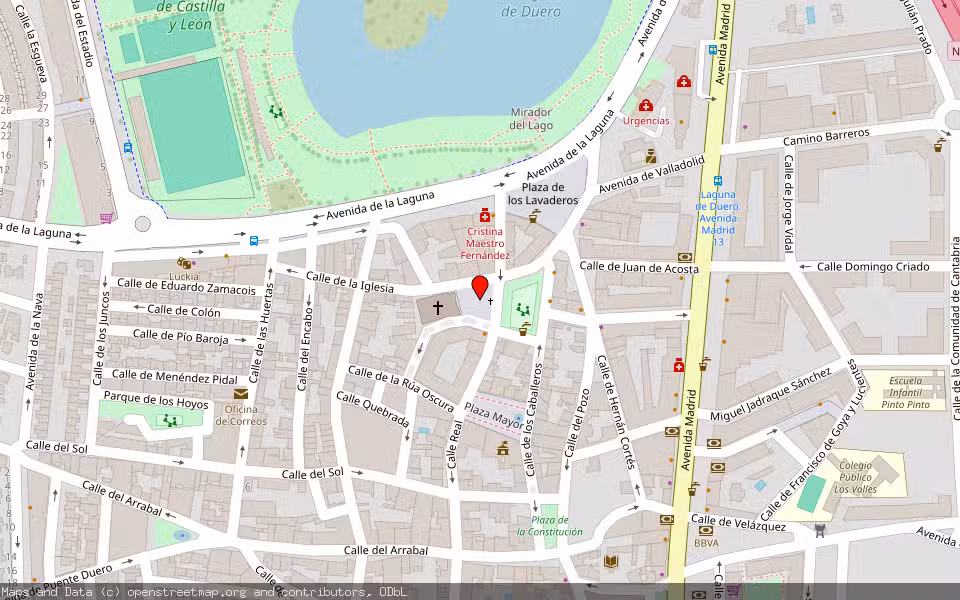 Mapa de Subasta Inmueble (Finca rústica) en Laguna De Duero, Valladolid