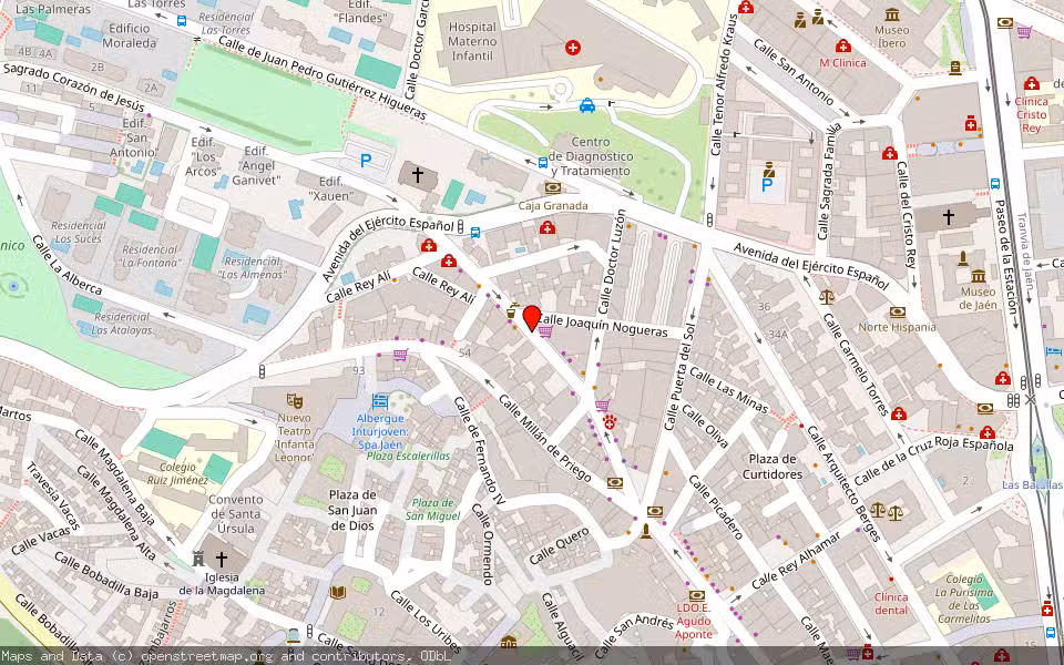 Mapa de Subasta Inmueble (Local comercial) en Jaen, Jaén