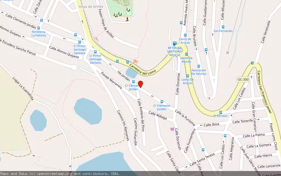 Mapa de Subasta Inmueble (Vivienda) en Arucas, Las Palmas