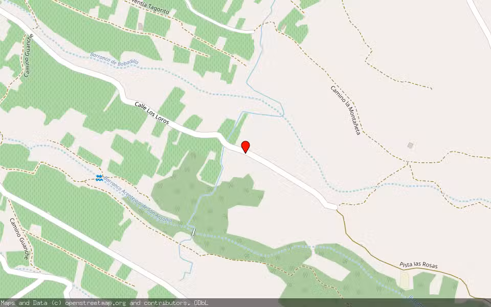 Mapa de Subasta Inmueble (Finca rústica) en La Victoria, Santa Cruz de Tenerife