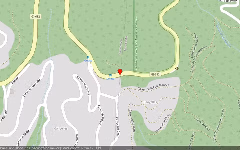 Mapa de Subasta Inmueble (Vivienda) en Lloret De Mar, Girona