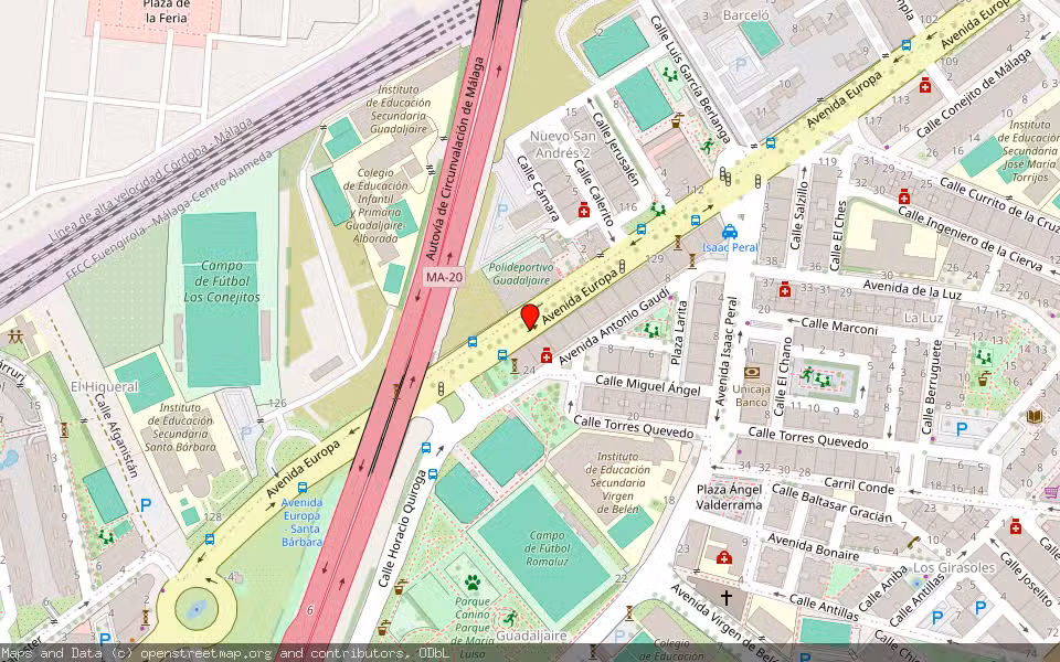 Mapa de Subasta Inmueble (Vivienda) en Malaga, Málaga