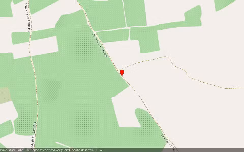 Mapa de Subasta Inmueble (Solar) en Carrión De Calatrava, Ciudad Real