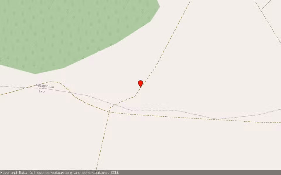 Mapa de Subasta Inmueble (Otros) en Peleagonzalo, Zamora