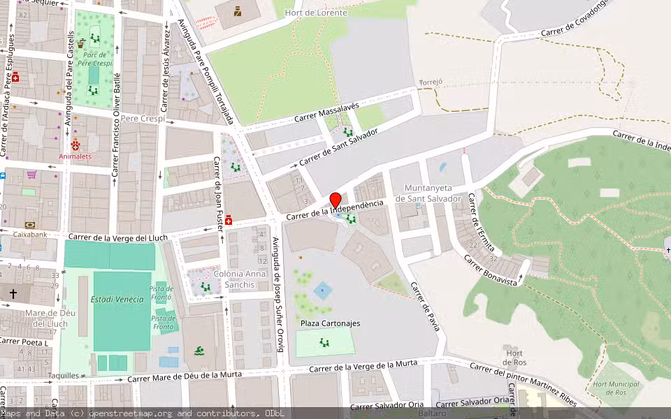 Mapa de Subasta Inmueble (Vivienda) en Alzira, Valencia/València