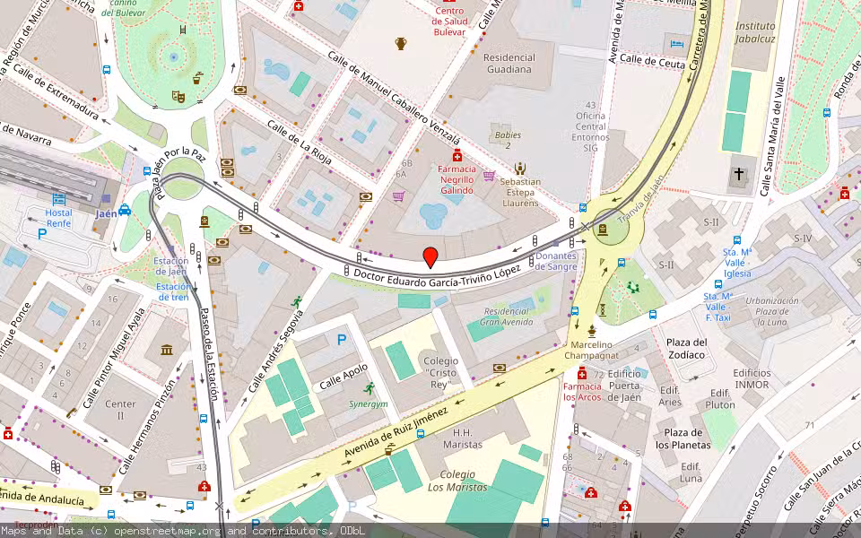 Mapa de Subasta Inmueble (Garaje) en Jaen, Jaén