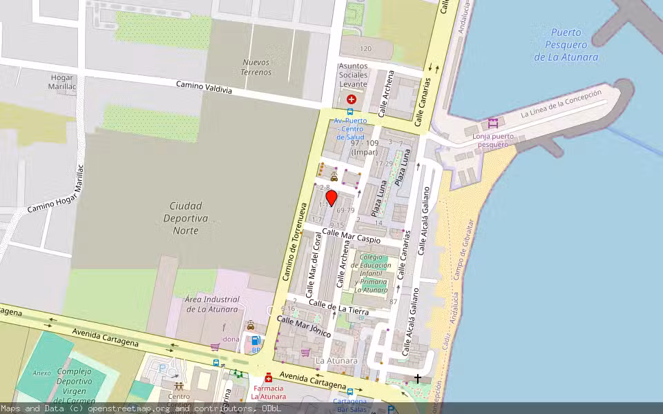 Mapa de Subasta Inmueble (Vivienda) en Linea De La Concepcion (la), Cádiz