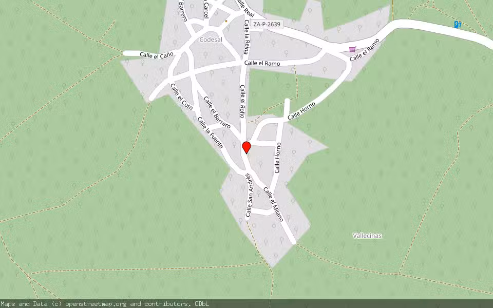 Mapa de Subasta Inmueble (Vivienda) en Zamora