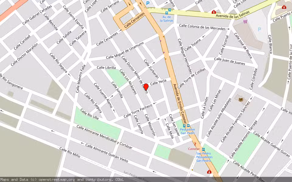 Mapa de Subasta Inmueble (Garaje) en San Pedro Del Pinatar, Murcia