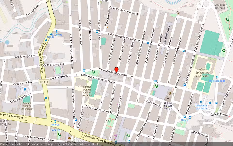 Mapa de Subasta Inmueble (Local comercial) en San Cristobal De La Laguna, Santa Cruz de Tenerife