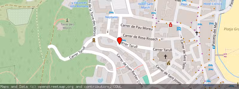 Mapa de Subasta de Inmueble (Vivienda) en Tossa De Mar, Gerona (Girona) 