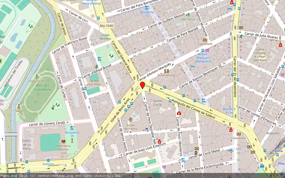 Mapa de Subasta Inmueble (Local comercial) en Palma De Mallorca, Illes Balears