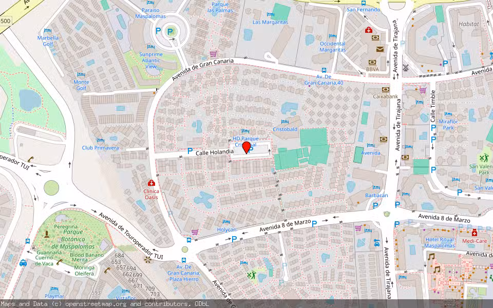 Mapa de Subasta Inmueble (Vivienda) en San Bartolome De Tirajana, Las Palmas
