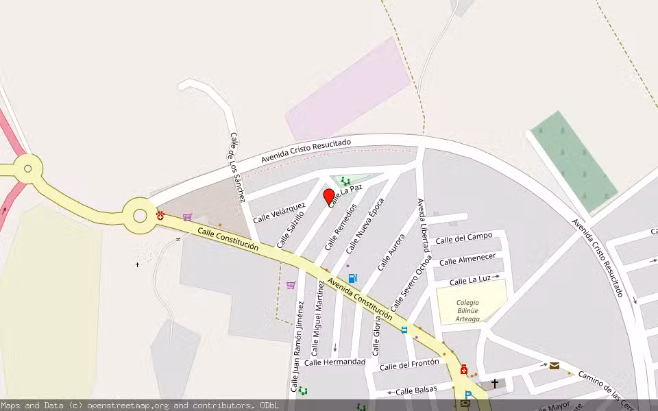 Mapa de Subasta Inmueble (Vivienda) en Murcia