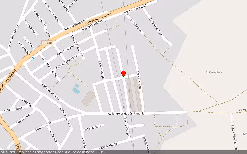 Mapa de Subasta Inmueble (Vivienda) en Villanueva De Duero, Valladolid