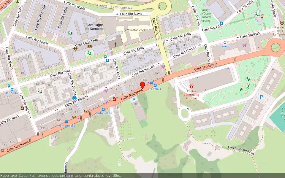Mapa de Subasta Inmueble (Vivienda) en Oviedo, Asturias