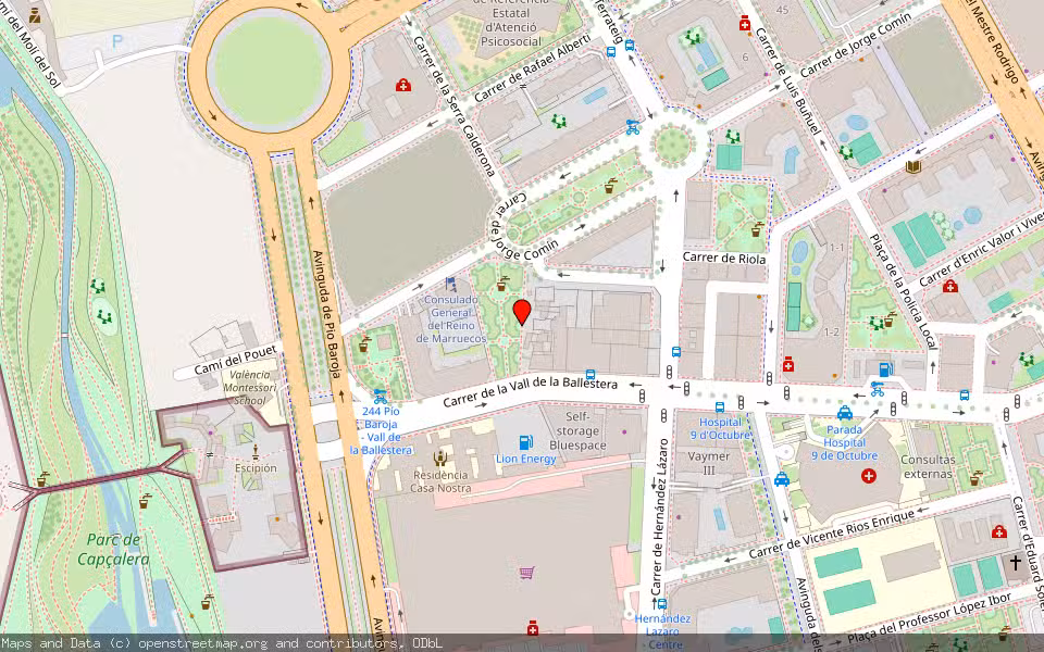 Mapa de Subasta Inmueble (Finca rústica) en Valencia, Valencia/València