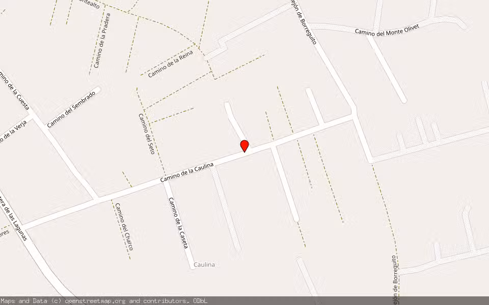 Mapa de Subasta Inmueble (Vivienda) en Chiclana De La Frontera, Cádiz