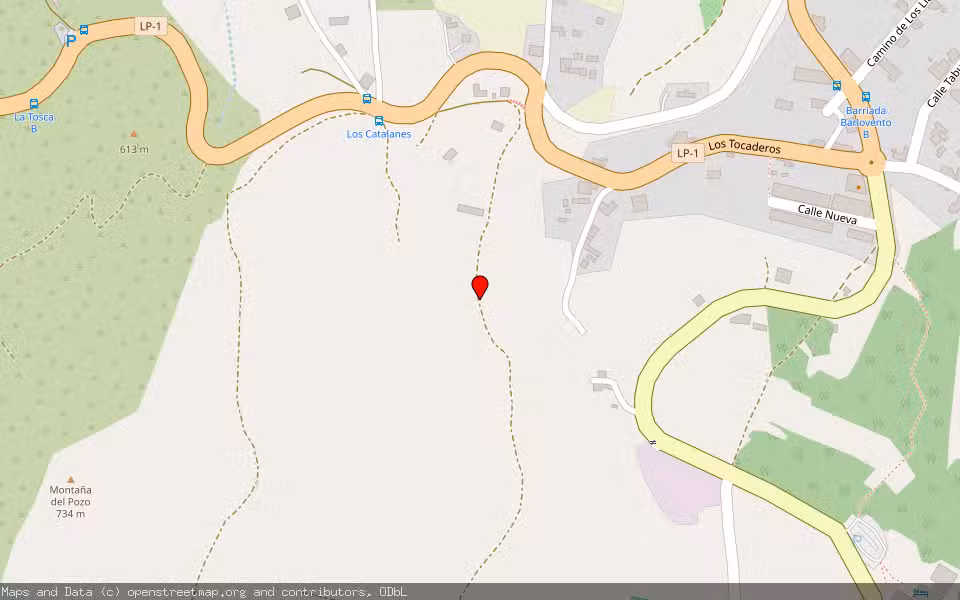 Mapa de Subasta Inmueble (Finca rústica) en Barlovento, Santa Cruz de Tenerife