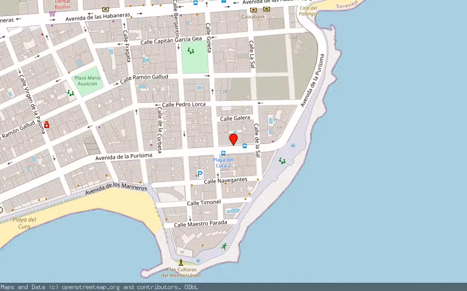 Mapa de Subasta Inmueble (Vivienda) en Torrevieja, Alicante/Alacant