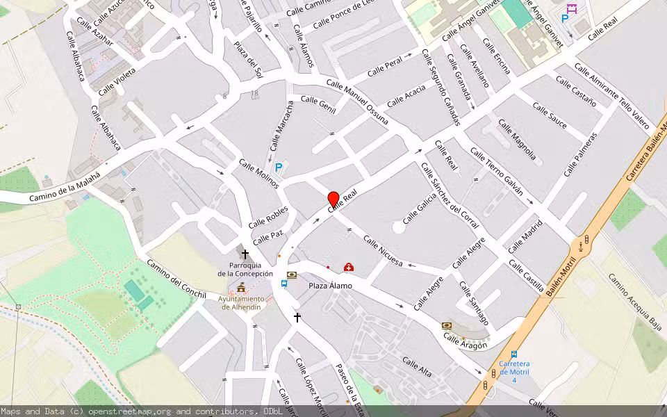 Mapa de Subasta Inmueble (Vivienda) en Alhendin, Granada