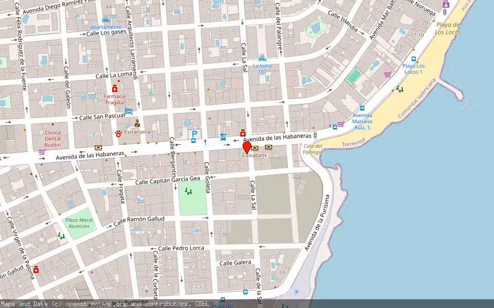 Mapa de Subasta Inmueble (Vivienda) en Torrevieja, Alicante/Alacant