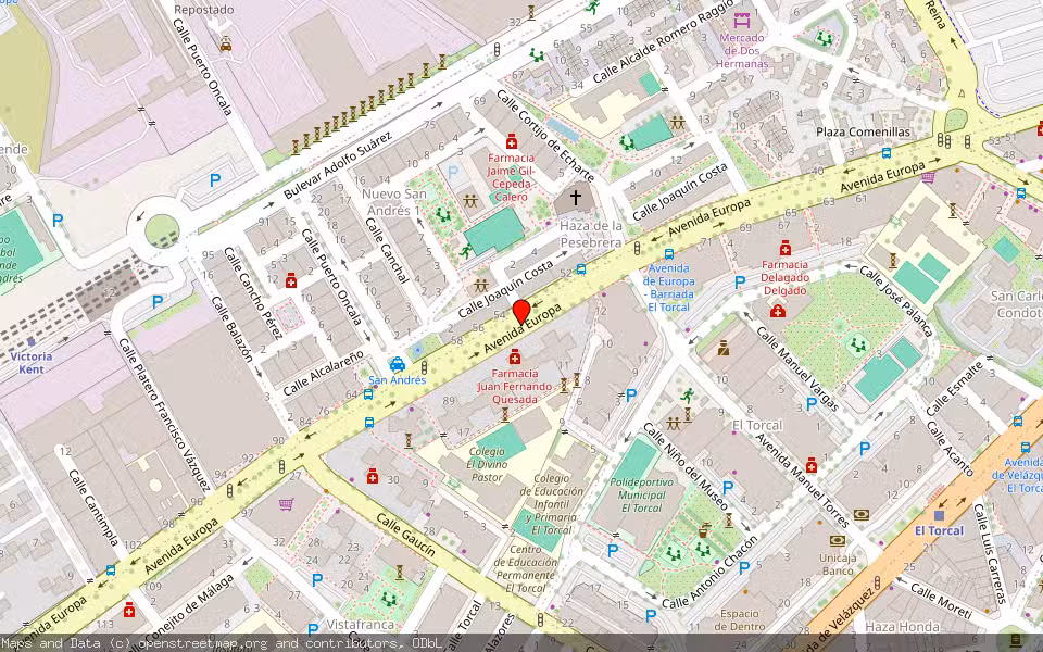 Mapa de Subasta Inmueble (Vivienda) en Málaga