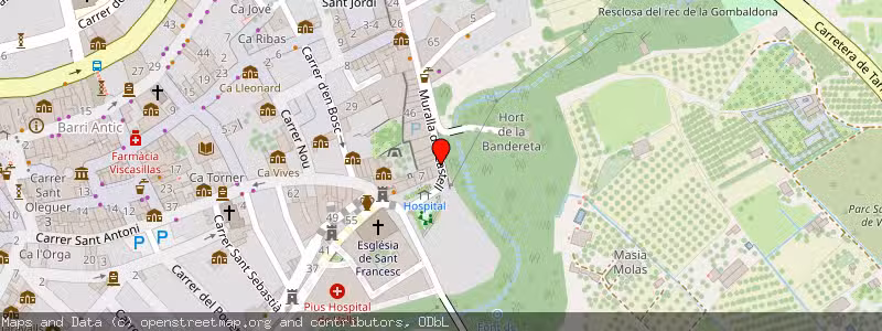Mapa de Subasta de Inmueble (Vivienda) en Valls, Tarragona 